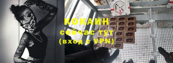 стаф Осташков